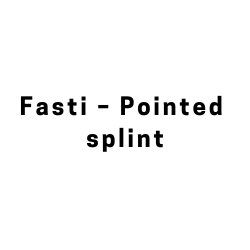 More information about our production of Fasti pointed splints